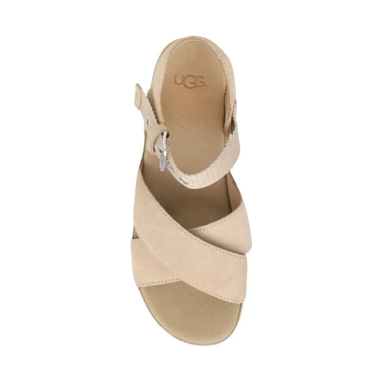 ugg 116
