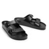 birk 301