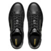 geox 179