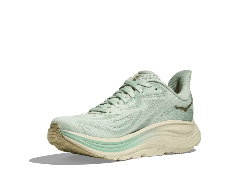 1162031 SJD 3