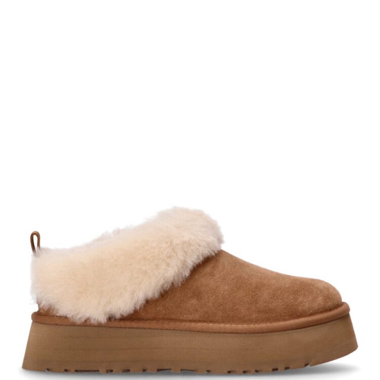 ugg w tazzelle 1171393 che