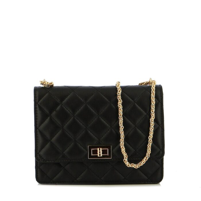 Γυναικεία τσάντα Guy Laroche 119